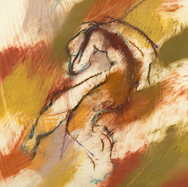 Untitled 6426